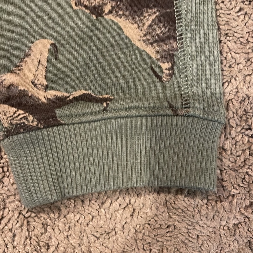 Dinosaur sweatpants and hoodie - Picture 4 of 8